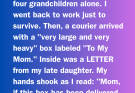 At 71, I Started Over for My Grandchildren—Then a Package from My Late Daughter Arrived
